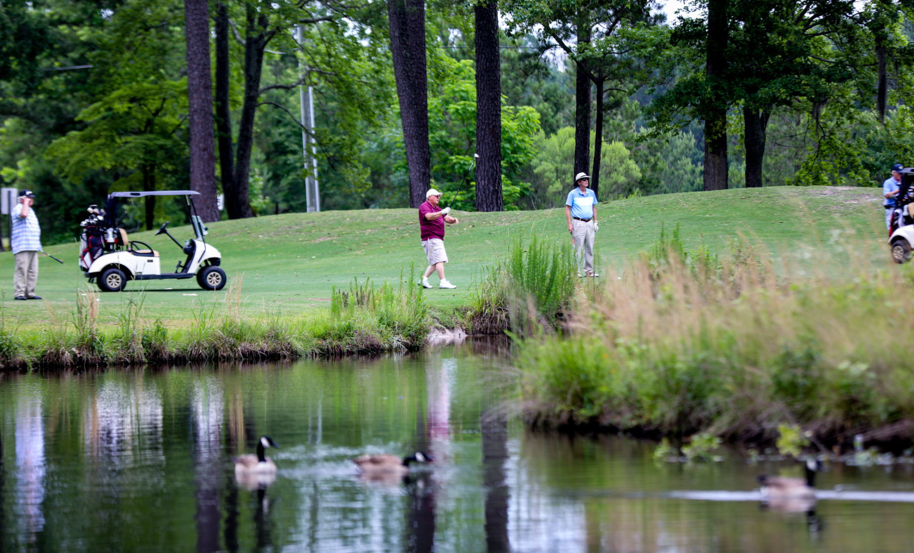 COVID-19 images Tuesday in Florence (Golf Edition)